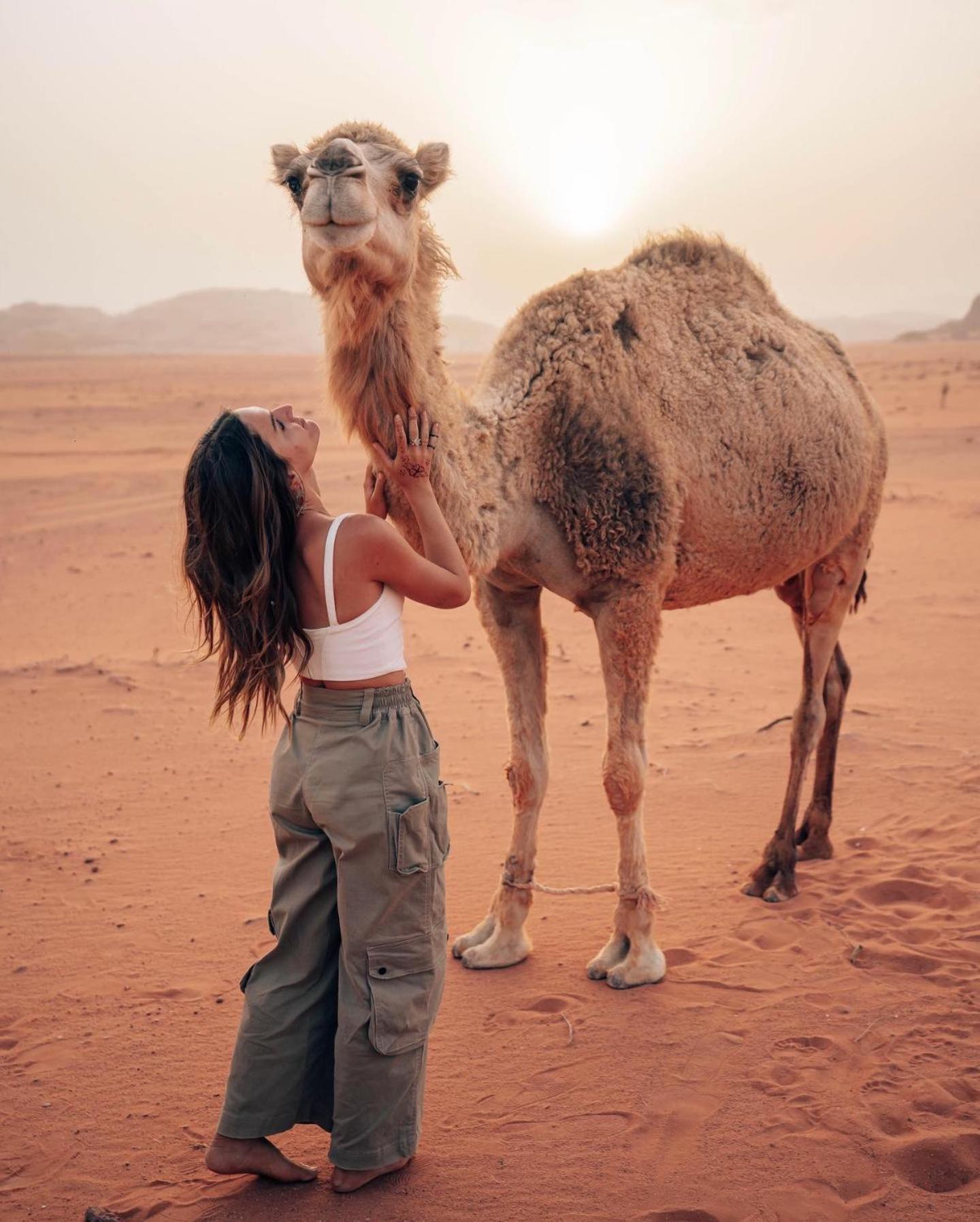 Rum Luxury Camp Wadi Rum Exterior photo